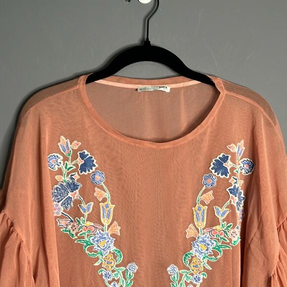 Pretty in Pink: Zara’s Medium Tulle Embroidered Top - Picture 3 of 6